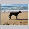 Beach House Easter 2005_004.jpg